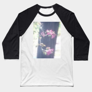 red Malus Radiant crab apple blossoms #6 Baseball T-Shirt